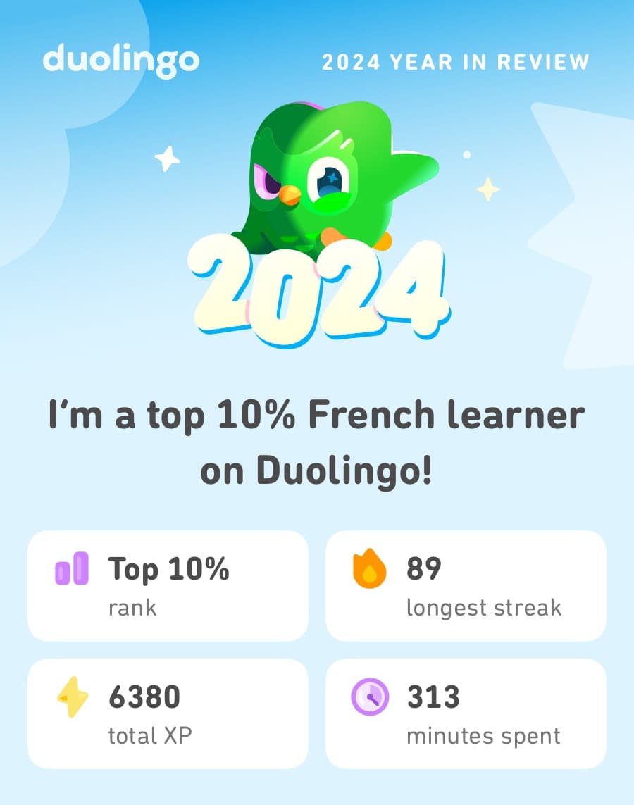 A Duolingo '2024 Year in Review' screen with a green owl mascot. The text highlights being a top 10% French learner. Stats include top 10% rank, 89-day streak, 6,380 total XP, and 313 minutes spent.